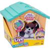 imageLittle Live Pets Cat Figurines for Kids Interactive Hutch Animal Playset with 25 Sounds Outdoor Toys for 5 Year Old GirlsTeal  Orange Home