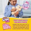 imageLittle Live Pets Cozy Dozys Ginger The Pet Cat Toy Interactive Plush Electronic Cat with 25 Sounds Soft Bedtime Kitty Toys for Kids of Ages 4Ginger The Kitty