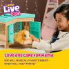 imageLittle Live Pets Hamster Mini Interactive Toy Set Hutch Animal Playset with 3 Surprise Babies 20 Sounds Hamster MustHaves for Ages 3Guinea Pig