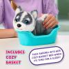 imageLittle Live Pets My Really Real Puppy Patches The Beagle Interactive Realistic Toy Dog with 60 Sounds and 2in1 Bed Lifelike Puppy for Ages 5Aurora Puppy