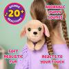 imageLittle Live Pets My Really Real Puppy Patches The Beagle Interactive Realistic Toy Dog with 60 Sounds and 2in1 Bed Lifelike Puppy for Ages 5Buddy Puppy
