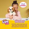 imageLittle Live Pets My Really Real Puppy Patches The Beagle Interactive Realistic Toy Dog with 60 Sounds and 2in1 Bed Lifelike Puppy for Ages 5Patches Puppy