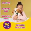 imageLittle Live Pets My Really Real Puppy Patches The Beagle Interactive Realistic Toy Dog with 60 Sounds and 2in1 Bed Lifelike Puppy for Ages 5Patches Puppy