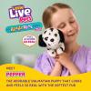 imageLittle Live Pets My Really Real Puppy Patches The Beagle Interactive Realistic Toy Dog with 60 Sounds and 2in1 Bed Lifelike Puppy for Ages 5Pepper Puppy