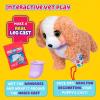 imageLittle Live Pets Ouchies Cooper The Retriever Puppy 50 Sounds Limping to Walking Puppy Toy with Vet Carrier Interactive Toy Dog for Kids Ages 5Poodle