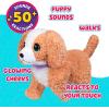 imageLittle Live Pets Ouchies Cooper The Retriever Puppy 50 Sounds Limping to Walking Puppy Toy with Vet Carrier Interactive Toy Dog for Kids Ages 5Poodle