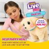 imageLittle Live Pets Ouchies Cooper The Retriever Puppy 50 Sounds Limping to Walking Puppy Toy with Vet Carrier Interactive Toy Dog for Kids Ages 5Retriever
