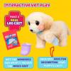 imageLittle Live Pets Ouchies Cooper The Retriever Puppy 50 Sounds Limping to Walking Puppy Toy with Vet Carrier Interactive Toy Dog for Kids Ages 5Retriever