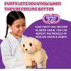 imageLittle Live Pets Ouchies Cooper The Retriever Puppy 50 Sounds Limping to Walking Puppy Toy with Vet Carrier Interactive Toy Dog for Kids Ages 5Retriever