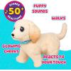 imageLittle Live Pets Ouchies Cooper The Retriever Puppy 50 Sounds Limping to Walking Puppy Toy with Vet Carrier Interactive Toy Dog for Kids Ages 5Retriever