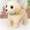 imageLittle Live Pets Ouchies Cooper The Retriever Puppy 50 Sounds Limping to Walking Puppy Toy with Vet Carrier Interactive Toy Dog for Kids Ages 5Retriever