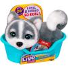 imageLittle Live Pets My Really Real Puppy Patches The Beagle Interactive Realistic Toy Dog with 60 Sounds and 2in1 Bed Lifelike Puppy for Ages 5Aurora Puppy