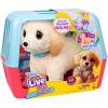 imageLittle Live Pets Ouchies Cooper The Retriever Puppy 50 Sounds Limping to Walking Puppy Toy with Vet Carrier Interactive Toy Dog for Kids Ages 5Retriever