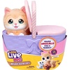 image:imageLittle Live Pets Mama Surprise Kittens Interactive Mama Surprise Toys  Portable basket fish accessory 3 baby kittens and 15 sounds and reactions for ages 4 toy cat playKitten