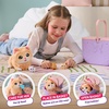 image:imageLittle Live Pets Mama Surprise Kittens Interactive Mama Surprise Toys  Portable basket fish accessory 3 baby kittens and 15 sounds and reactions for ages 4 toy cat playKitten