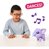 image:imageLittle Live Pets My Walking Elephant Toots Walks Dances amp Sways  25 sounds amp reactions includes leash amp feeding bottle interactive pet toy for kids ages 5WalkingElephant