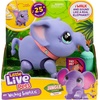 image:imageLittle Live Pets My Walking Elephant Toots Walks Dances amp Sways  25 sounds amp reactions includes leash amp feeding bottle interactive pet toy for kids ages 5WalkingElephant