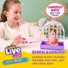 image:imageLittle Live Pets My Walking Elephant Toots Walks Dances amp Sways  25 sounds amp reactions includes leash amp feeding bottle interactive pet toy for kids ages 5BirdCageRosie